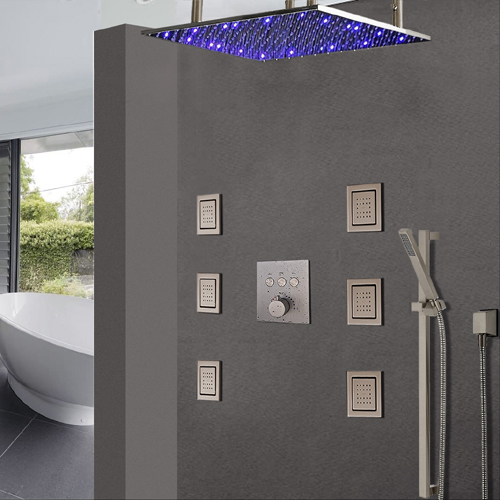 Shower Assembly